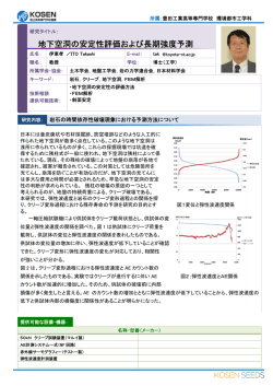 地下空洞の安定性評価および長期強度予測