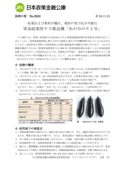 単為結果性ナス新品種「あのみのり 2 号」