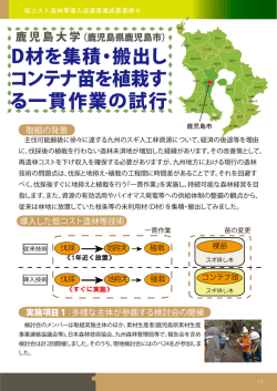 D材を集積・搬出し コンテナ苗を植栽す る一貫作業の試行