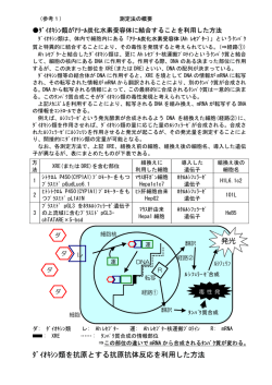 （参考1） 測定法の概要