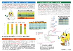 インフルエンザの季節到来!(2,3ページ目) (pdf, 726.49KB)