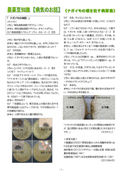ナガイモの根を犯す病原菌