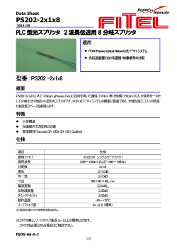 FSDS-66-A-J PS202-2X1X8 Data sheet