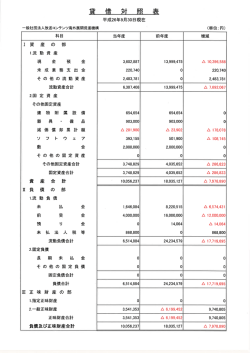 賃借対照表第2期（平成26年9月30日現在）