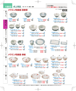 卓上用品 メラミン和食器 捻唐草 メラミン和食器 赤絵