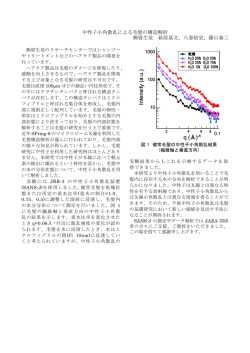 Intensity (a.u.) q (&Aring;)-1 Intensity (a.u.) q (&Aring;)-1