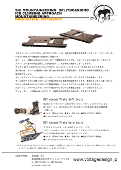 BG カタログ - VOLTAGE design