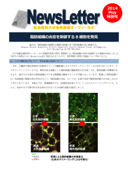 脂肪組織の炎症を制御する B 細胞を発見 2014 May