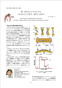 単一分子エレクトロニクス &sim;ようやくここまで、まだここまで&sim;