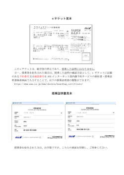 e チケット見本 搭乗証明書見本