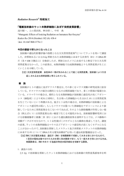 電離放射線のラット未熟卵細胞に及ぼす突然変異影響