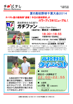 夏の高校野球千葉大会2014
