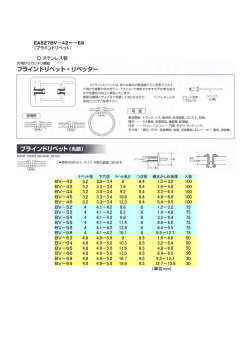 EA527BV－42～－69 （ブラインドリベット） ステンレス製 BV－42 3.2