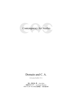 Domain and CA - Contemporary Art Studies