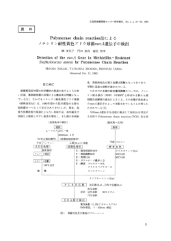 Detecti。n 。f the 畑彡CA Gene in Methidーーin*Resistant 3