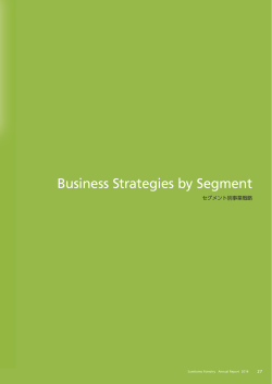 Business Strategies by Segment