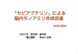 当日配布資料（2.06MB）