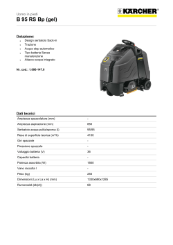B 95 RS Bp (gel)