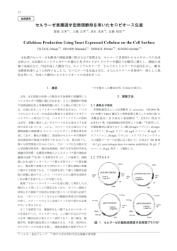 Ce=0bi。se Pr。ducti。n Using Yeast Expressed Ceーーuー