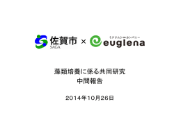 中間報告書