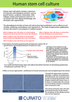 Human stem ce= cuーture