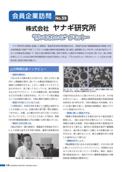 株式会社 ヤナギ研究所 株式会社 シマブン