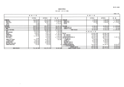 2013年度 貸借対照表（PDFファイル）
