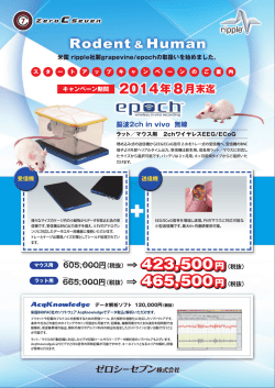 一一晩 米国 rippーe社製grapevine/ep。chの取扱いを