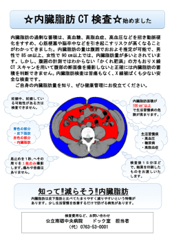 内蔵脂肪CT（PDF形式：168KB）