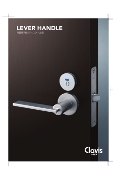 LEVER HANDLE