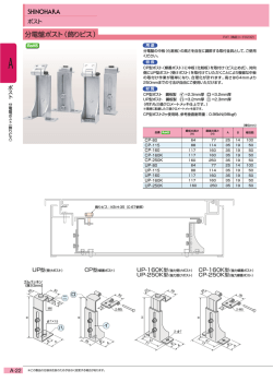 分電盤ポスト（飾りビス）