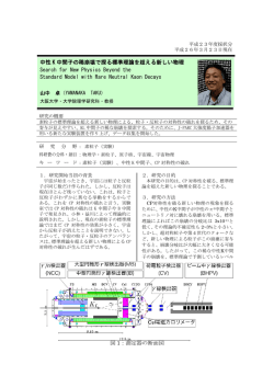 中性 K 中間子の稀崩壊で探る標準理論を超える新しい物理 Search for