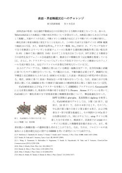 表面・界面触媒反応へのチャレンジ