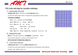 Hitachi ULSI Systems Co .,Ltd.