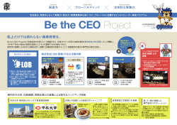 Be the CEO Project