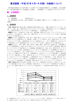 概要版（PDF：896KB）
