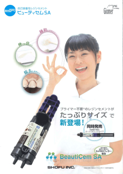 Page 1 Page 2 軽いタッチで練和できるやわらかいペースト性状です