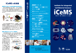 日本語版 (PDF: 1.9 MB) - Institute for Integrated Cell