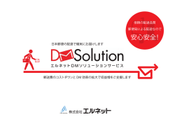 DMソリューションサービス[PDFダウンロード(1104KB)]