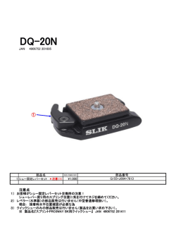 DQ一20N
