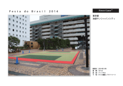 Festa do Brasil 2014