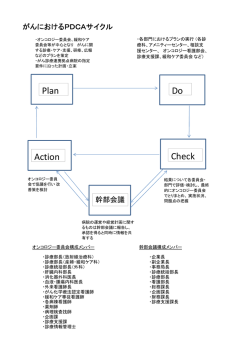 Plan Do Action Check