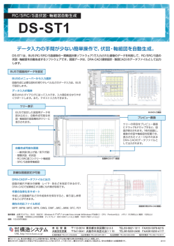 DS-ST1