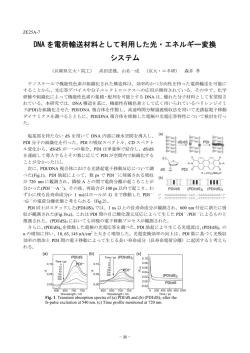DNAを電荷輸送材料として利用した光・エネルギー変換システム Photo