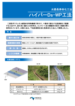 ハイパーDs-WP工法 - 西日本高速道路メンテナンス中国株式会社