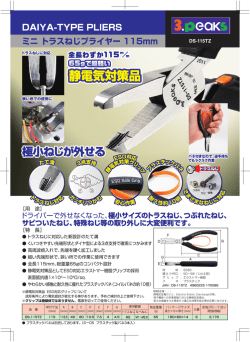 DS-115TZおもて2 [更新済み].eps
