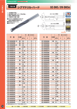 DZ-DHS / DV-DHS形