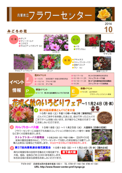 E F P イベント 情報