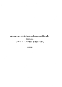 Abundance c。njecture and can。nicaー bundーe f。rmuーa
