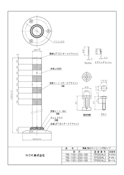 PB-100-250-DB